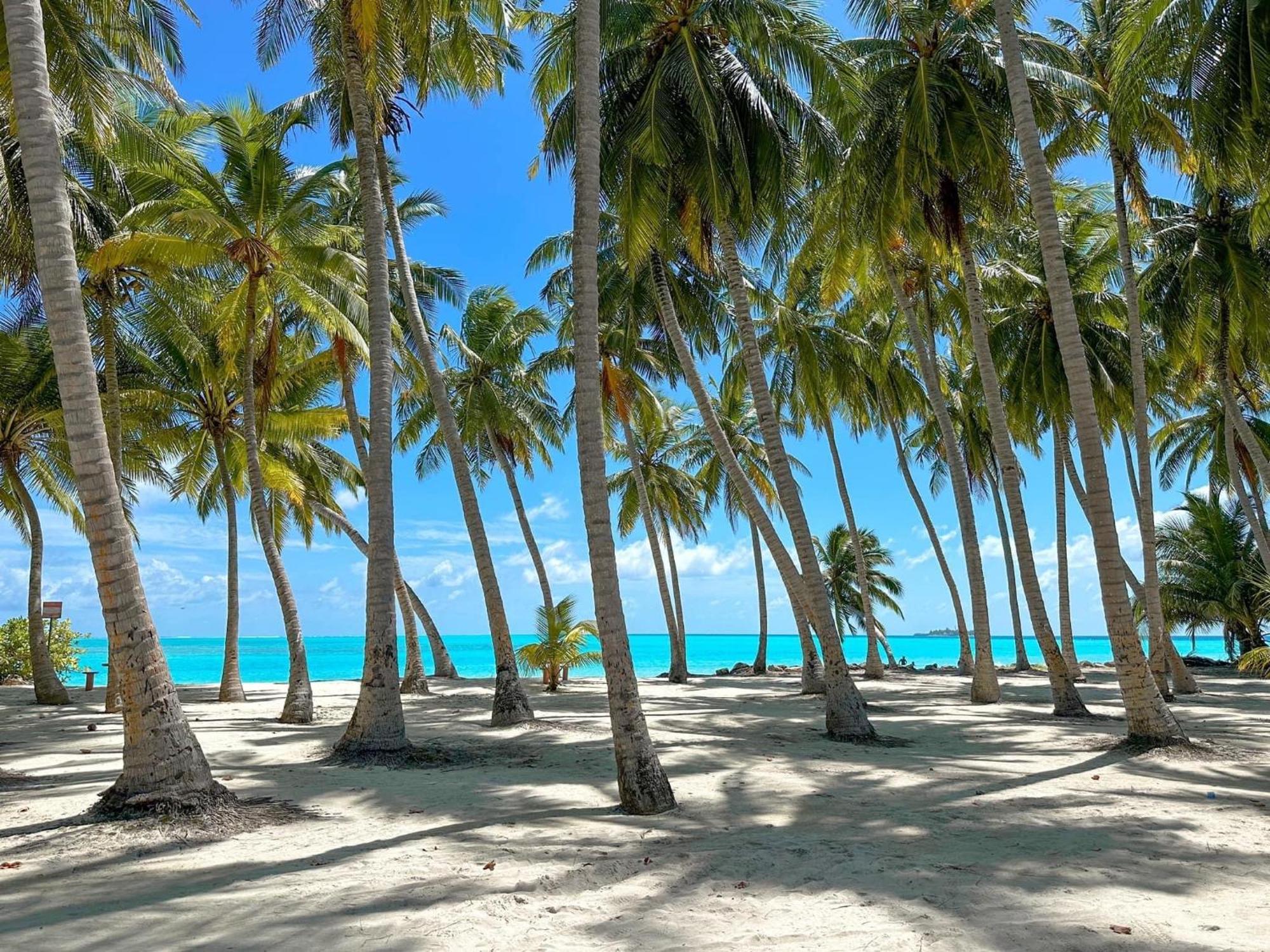 Mathiveri Beach View エクステリア 写真